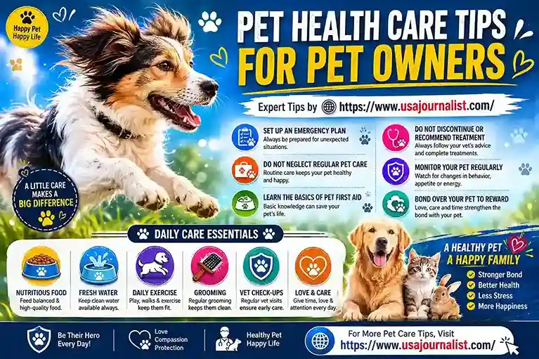 pet care advice