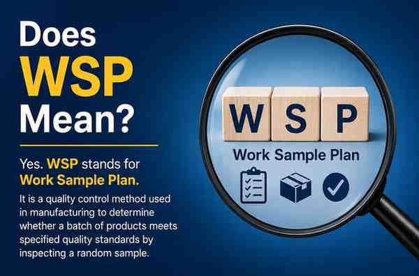 Does WSP Mean